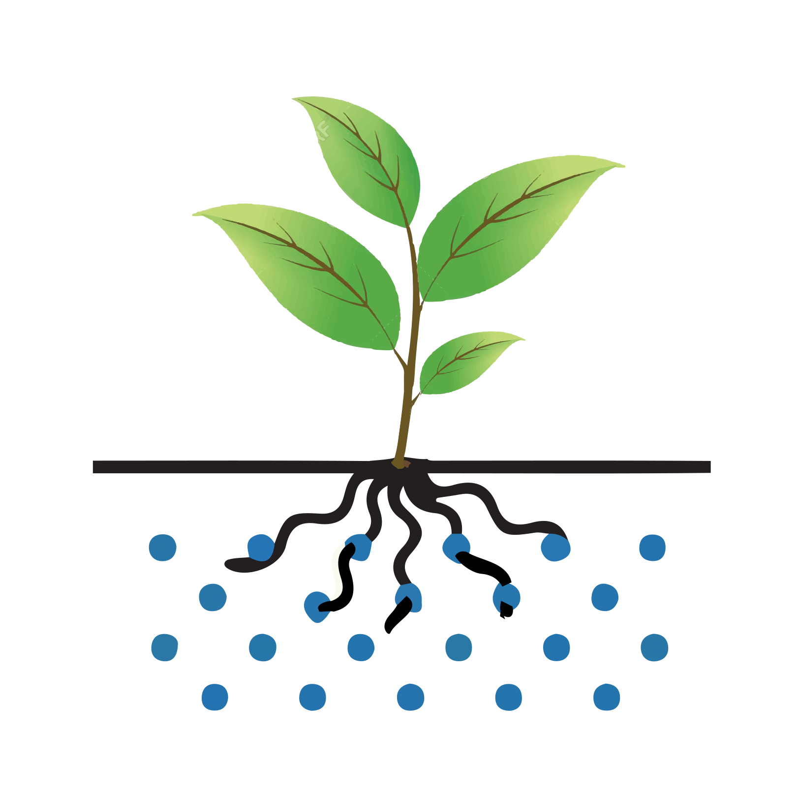 Aero.png?1450348324046