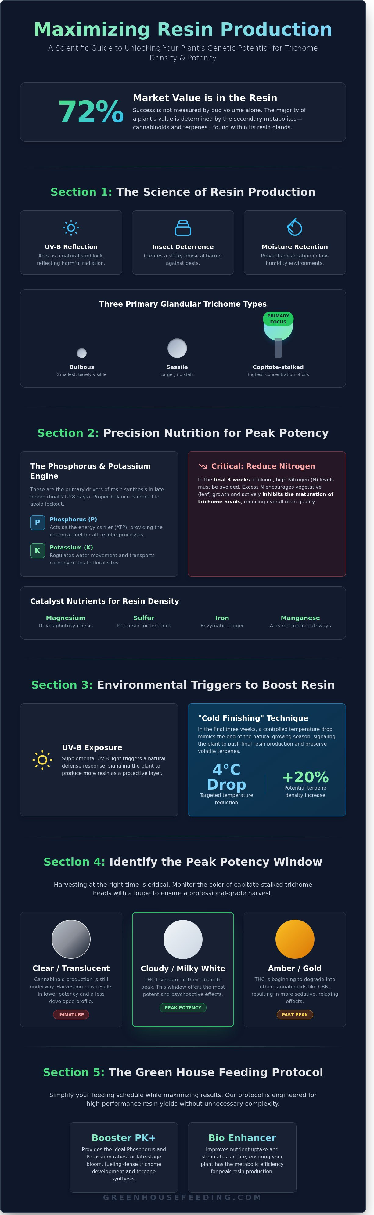 Improving Trichome Production: A Professional Guide to Maximum Resin infographic
