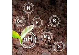 What is PPM? A Precision Guide to Nutrient Concentration for Growers