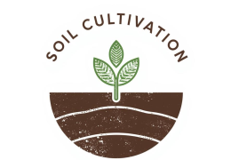 Soil cultivation (peat based substrate)