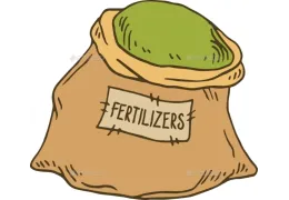 Fertilizer for Cannabis Plants: The Expert Guide to Optimal Feeding
